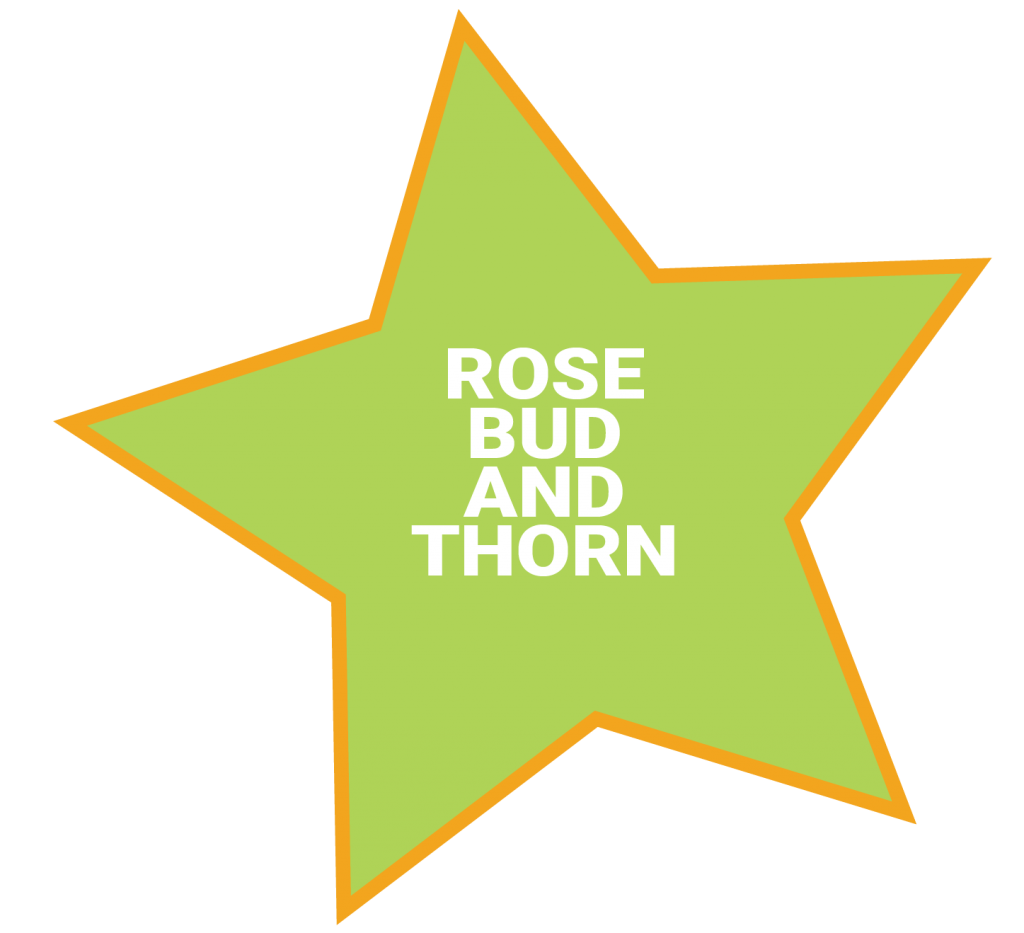 Rose, Bud, and Thorn 